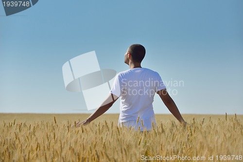 Image of man in wheat field