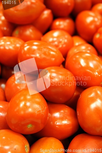 Image of Red tomatoes