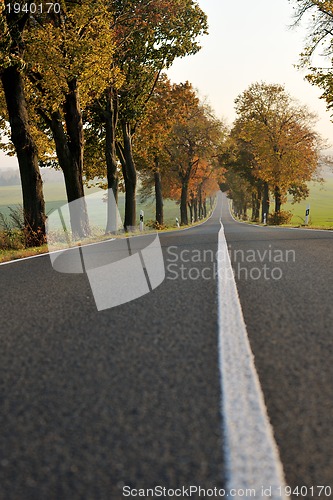 Image of country road