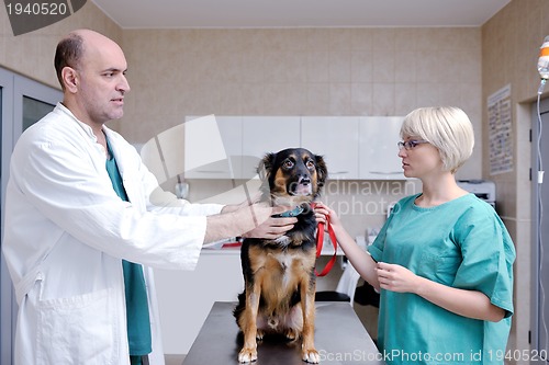 Image of veterinarian and assistant in a small animal clinic