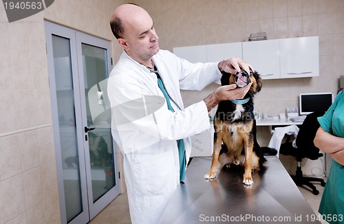 Image of veterinarian and assistant in a small animal clinic