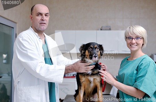 Image of veterinarian and assistant in a small animal clinic