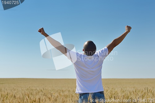 Image of man in wheat field