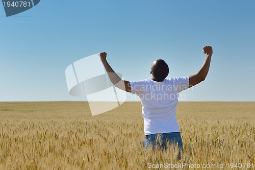 Image of man in wheat field