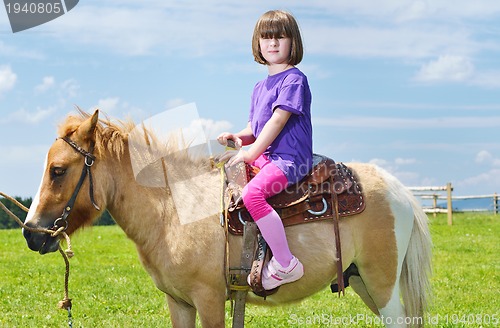 Image of child ride pony