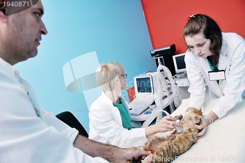 Image of veterinarian and assistant in a small animal clinic