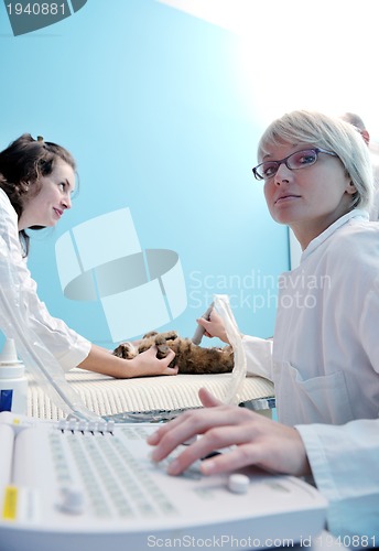 Image of veterinarian and assistant in a small animal clinic