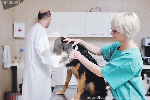 Image of veterinarian and assistant in a small animal clinic