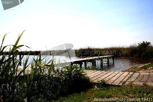 Image of Neusiedler-Sea