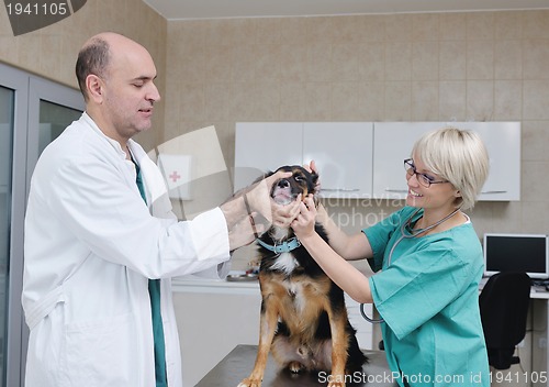 Image of veterinarian and assistant in a small animal clinic