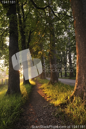 Image of sunrise in beautiful alley