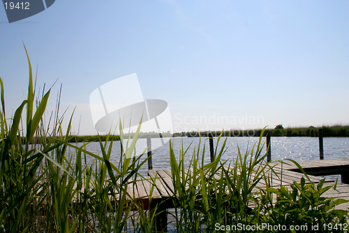 Image of Neusiedler-Sea