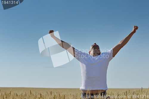 Image of man in wheat field