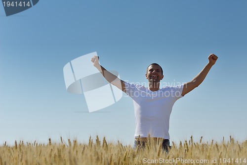 Image of man in wheat field