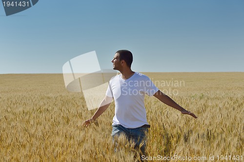 Image of man in wheat field