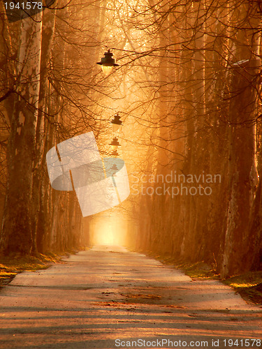 Image of sunrise in beautiful alley