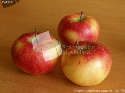 Image of Apples