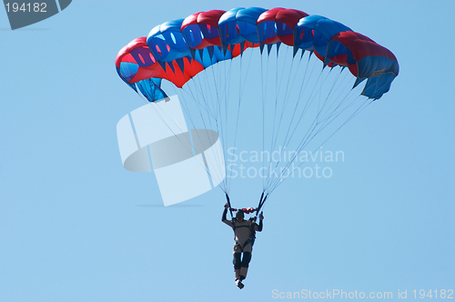 Image of Skydiver