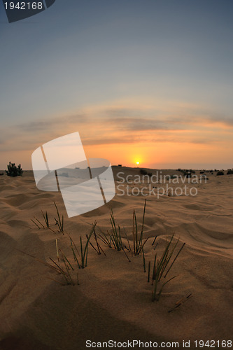 Image of beautiful sunset in desert