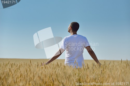 Image of man in wheat field