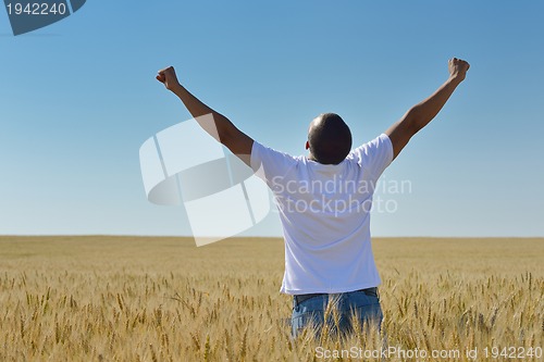 Image of man in wheat field
