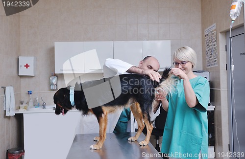 Image of veterinarian and assistant in a small animal clinic