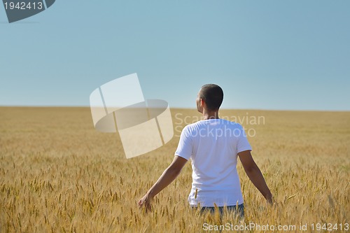 Image of man in wheat field