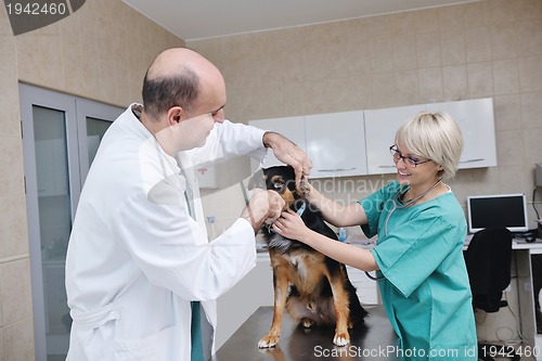 Image of veterinarian and assistant in a small animal clinic