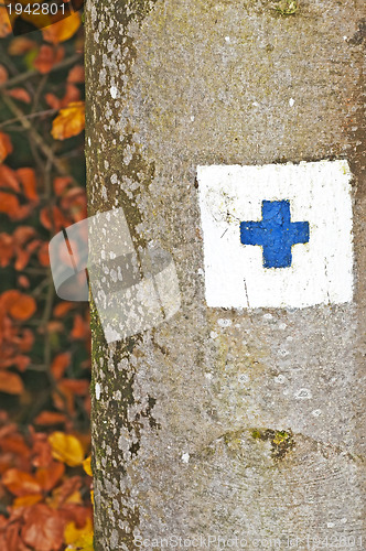 Image of way marker on a tree