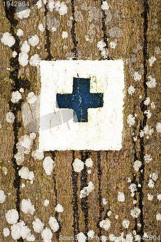 Image of way marker on a tree