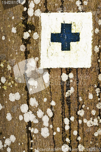 Image of way marker on a tree