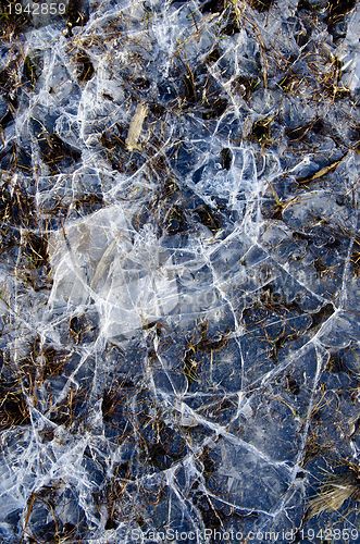 Image of Cracked water ice on frozen bog winter background 