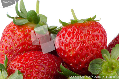 Image of Fresh ripe strawberry 