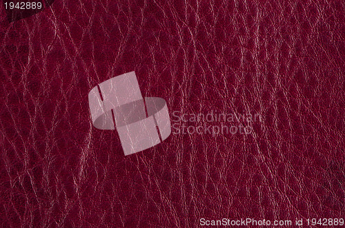 Image of Red leather 