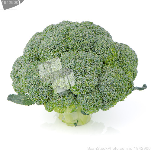 Image of Broccoli