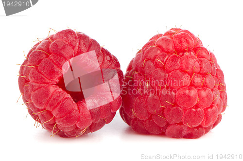 Image of Ripe red raspberry
