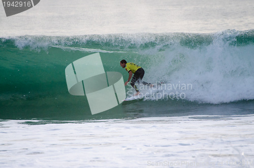 Image of Taylor Knox