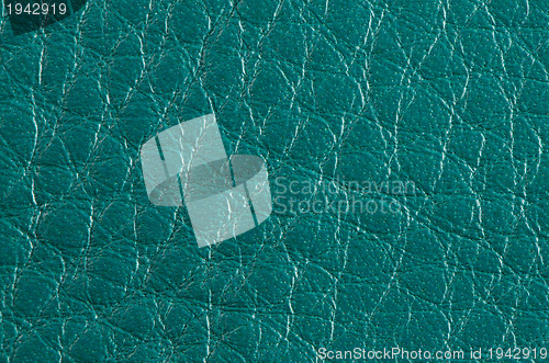 Image of Green leather 