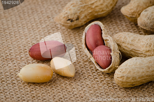 Image of Peanuts