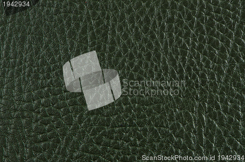 Image of Green leather 