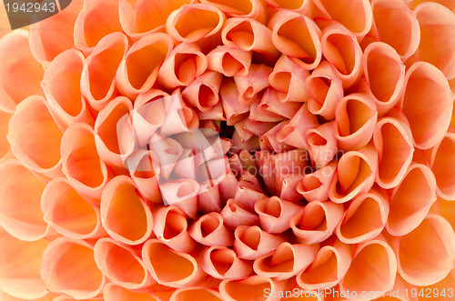 Image of Dahlia closeup