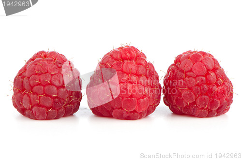 Image of Ripe red raspberry