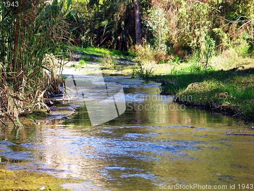 Image of A little stream. Nicosia. Cyprus