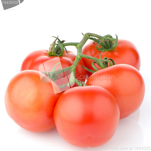 Image of Red ripe tomato