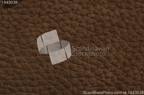 Image of Brown leather 