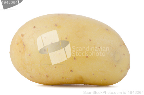 Image of New potato