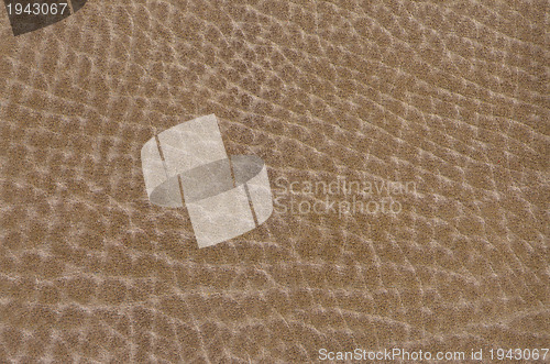 Image of Brown leather 