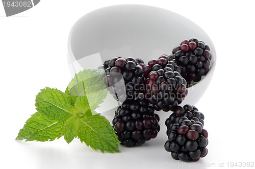 Image of Blackberries in White Bowl