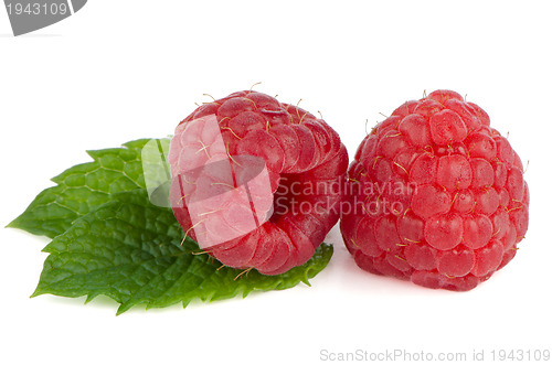 Image of Ripe red raspberry