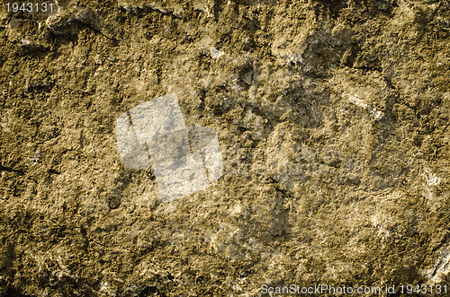 Image of Rock texture surface 